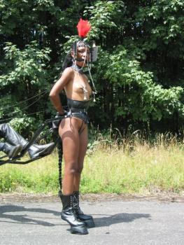 Cuban Ponygirl