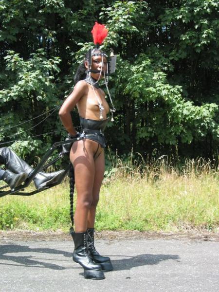 Cuban Ponygirl